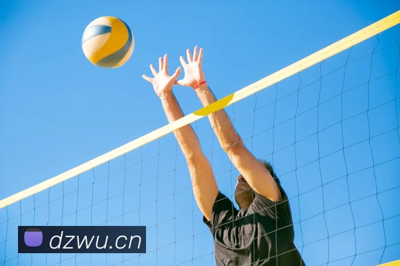 环球体育平台官网服务体系